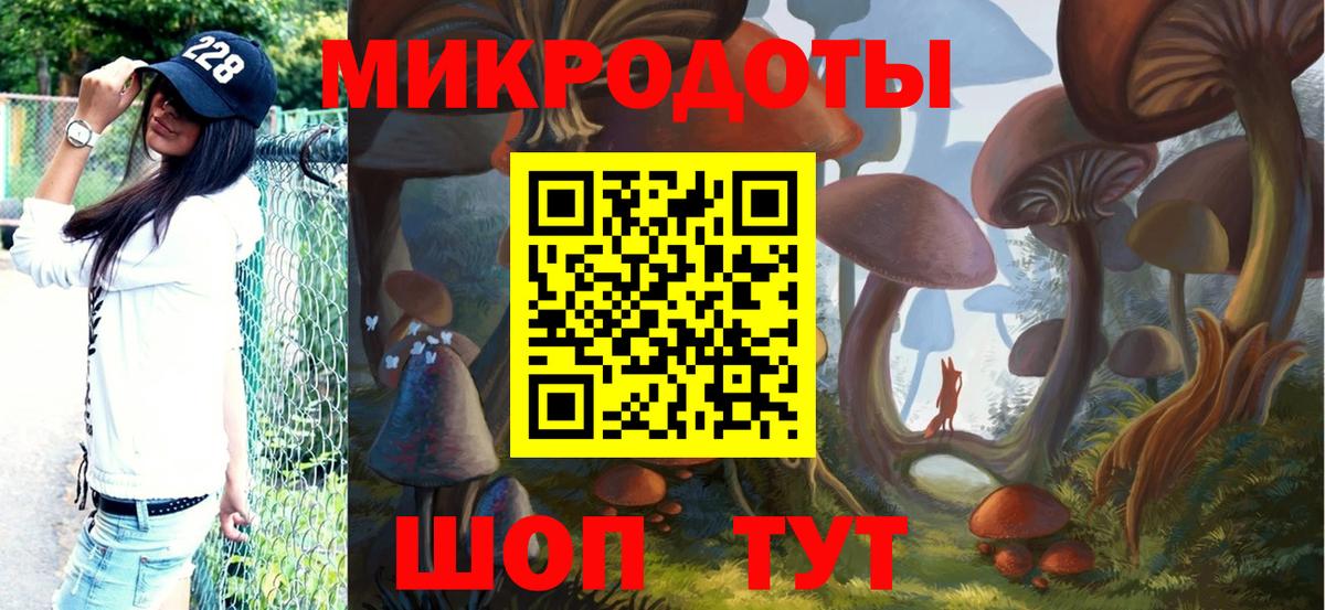 Псилоцибиновые грибы Psilocybine cubensis  Вход с VPN  Луховицы 