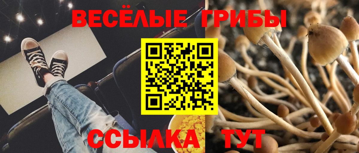 Псилоцибиновые грибы MAGIC MUSHROOMS Луховицы